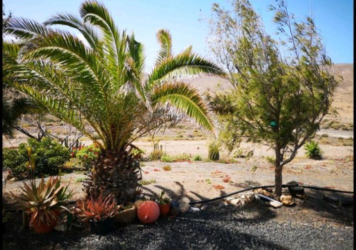 הוילה Pájara Casa La Solapa מראה חיצוני תמונה
